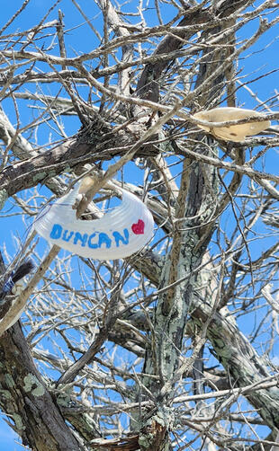 A special wishing tree with a scarf that says Duncan.